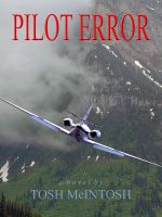 Pilot Error